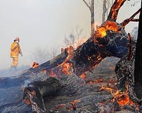 Heat saps Australian workers' productivity: study