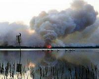 'Uncharted territory' as bushfires rage across Australia's east
