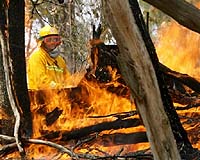Australian bushfire threat falls with record temperatures