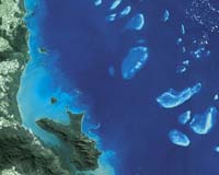 A third of reef-building corals threatened with extinction: scientists