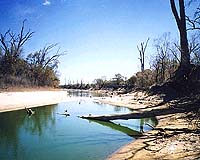 Australia To Turn Off The Tap On Farmers As Drought Bites