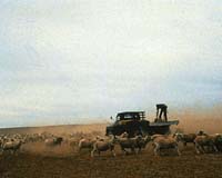 We Know The Climate Risks Now For Solutions Say Aussie Farmers