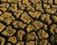 Australia Pumps More Cash Into Drought-Hit Farms
