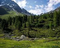 Study reveals that climate change could dramatically alter fragile mountain habitats