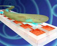 Scientists mimic neural tissue in Army-funded research