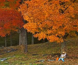 Walker's World: Autumn crisis looms