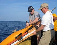 Pairs Of Seagliders Set Endurance Records
