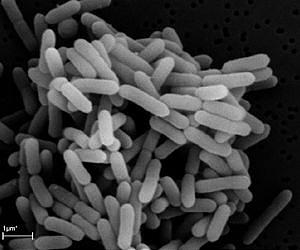 University of Toronto breakthrough allows fast, reliable pathogen identification