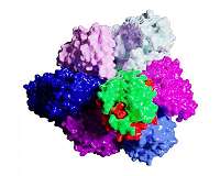 Researchers visualize bacteria motor in first step toward human-produced electrical energy