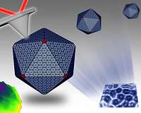 Nanotechnology reveals hidden depths of bacterial 'machines'