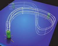 Appendages Help Microbes Survive Harsh Conditions