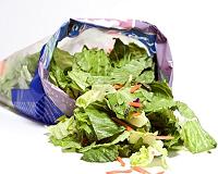 Precut salad promotes salmonella growth: Study