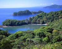 Liquid Jungle Lab Environs Are Home To Five New Species
