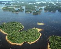 Hydroelectric dams drastically reduce tropical forest biodiversity