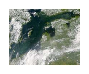 Action to save Baltic Sea is lagging: WWF