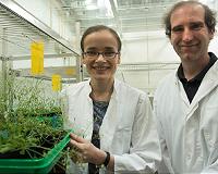 Helpers for energy acquisition from plants