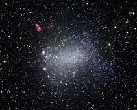 The Milky Way's Tiny But Tough Galactic Neighbour