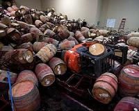 Warming to force winemakers, growers to plant different varieties