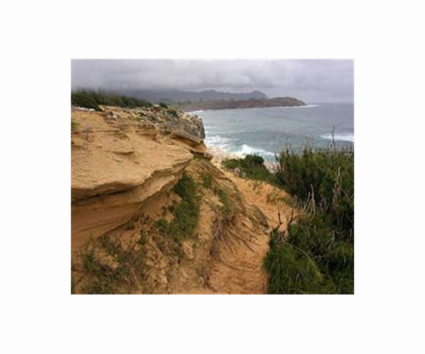 Australia's Byron Bay beach shrinks as sand disappears