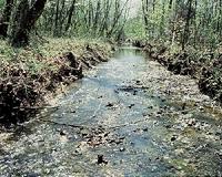 Using microbial communities to assess environmental contamination