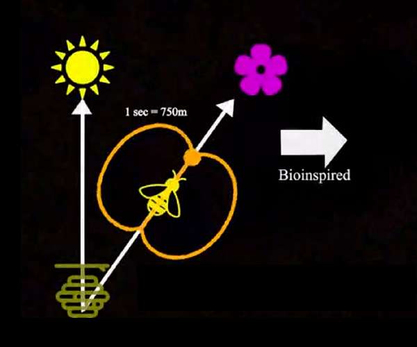 Bees' 'waggle dance' may revolutionize how robots talk to each other in disaster zones