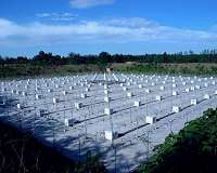Beijing MST Radar detection of the lower, middle and upper atmosphere
