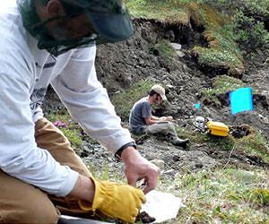 Abrupt permafrost thaw increases climate threat