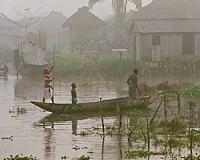 Benin: turning the scourge of fishermen into a resource