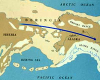 The Voyage To America