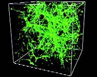 Physicists Lead The Field In Solving A Major Mystery Of The Big Bang