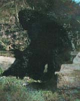 Bigfoot Excitement Mounting In Malaysia