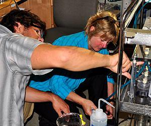 Deep biosphere harbors active, growing communities of microorganisms