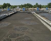 Sewage sludge could make great sustainable fertilizer