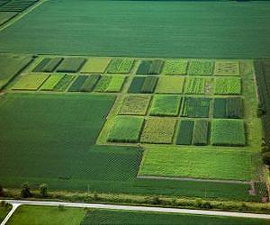 University of East Anglia research reveals true cost of farming to UK economy