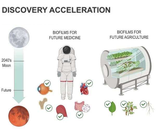 Biofilm communities seen as key to safer long term spaceflight