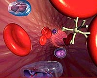 Is The Cure In The Blood For Bird Flu