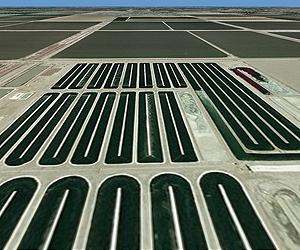 OriginOil Shows How Algae Can Reduce Biofuel Dependence on Food Crops