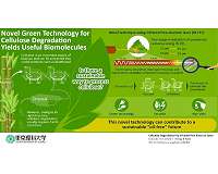Efficient laser technique can convert cellulose into biofuel