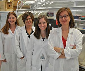 New biofuel process dramatically improves energy recovery