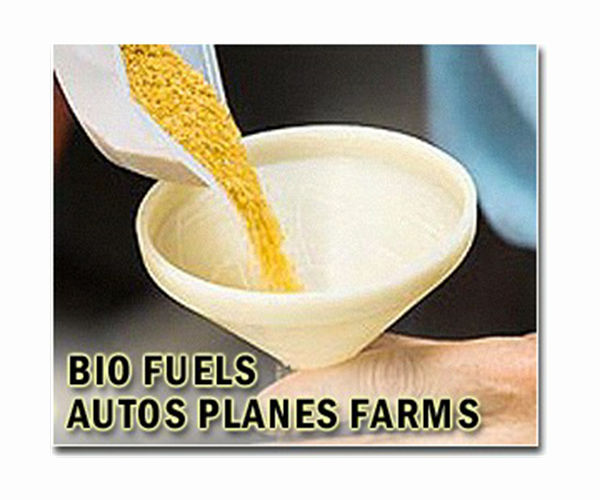 Brazil, other nations agree to quadruple sustainable fuels