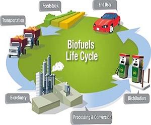 European Commission Funds Global Project to Produce Bioproducts From Algae