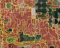 How biofuels from plant fibers could combat global warming
