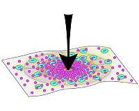 Under pressure: New bioinspired material can 'shapeshift' to external forces