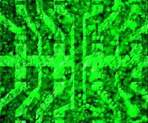 Biocompatible graphene transistor array reads cellular signals