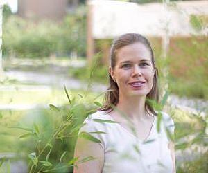 Homeowners, taxpayers pay billions to fight invasive pests