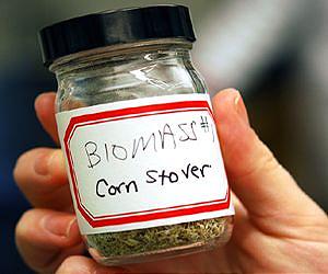 Iowa State, Ames Lab chemists aid study of mutated plants that may be better for biofuels