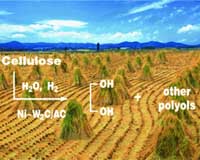 Summerhill Biomass Systems Unveils Solid Biomass Technology System