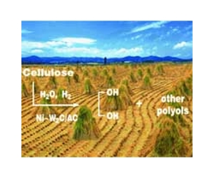 Firm Offers Bench Scale Equipment For Pretreatment Of Biomass