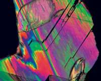 Bio-renewable process could help 'green' plastic
