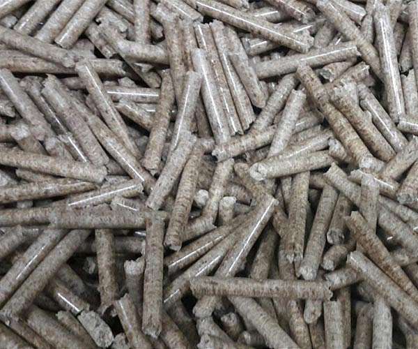 Smart biochar sorbents target persistent pollutants in complex water streams